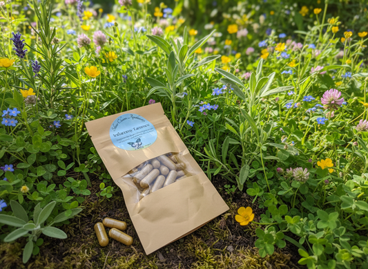 Inflammy Tammee Capsules